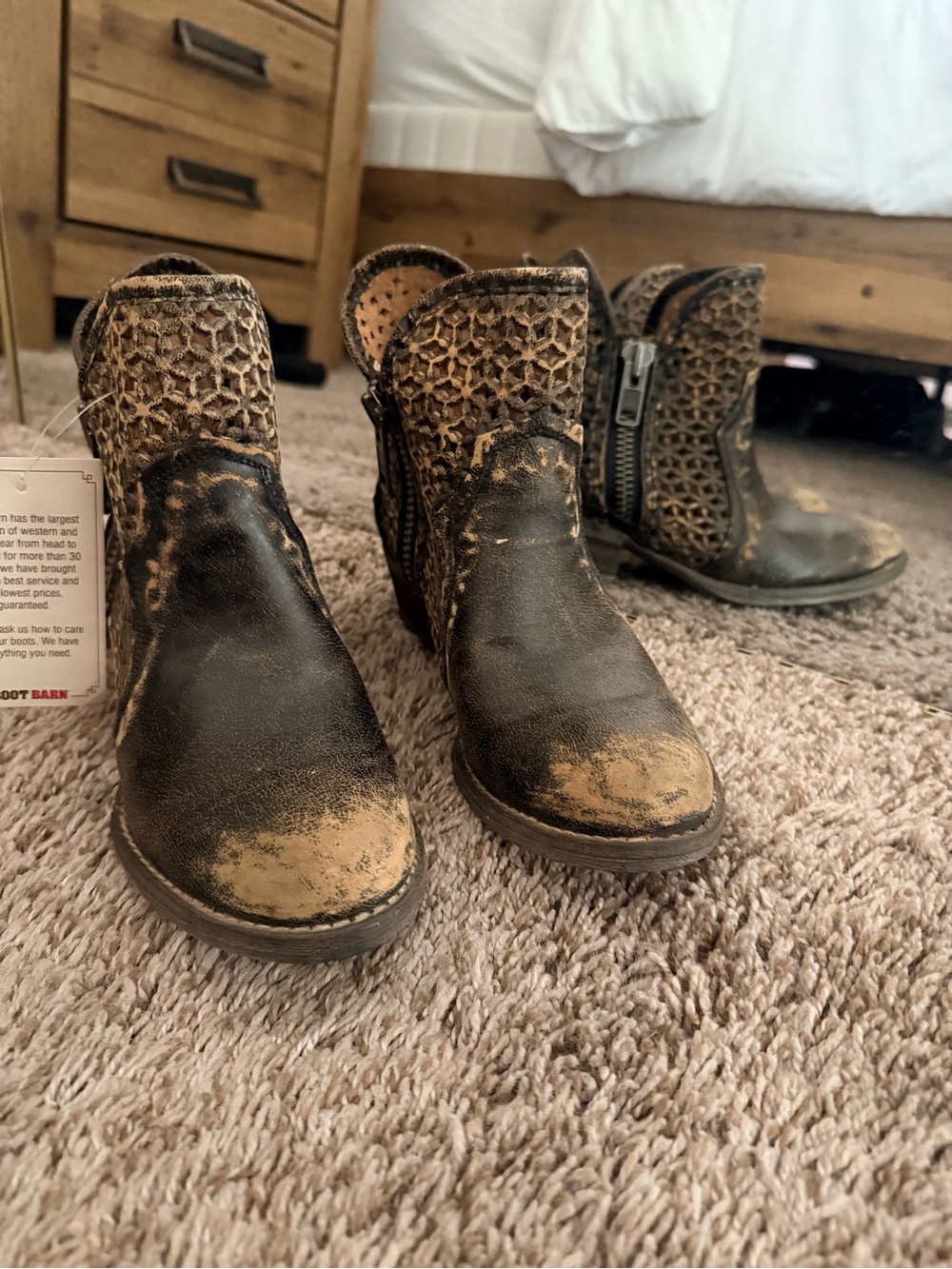 BRAND NEW! Women’s Circle G Distressed Brown Ankle Boots with Cutout Detail